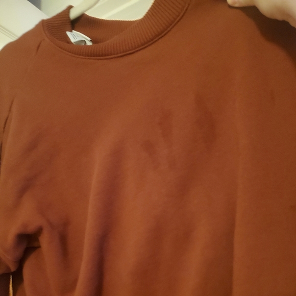 Cropped Sweatshirt - Picture 6 of 6